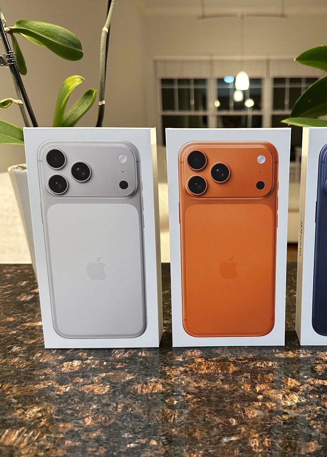 Apple iPhone 17 Pro Max 256 GB: - Image 4